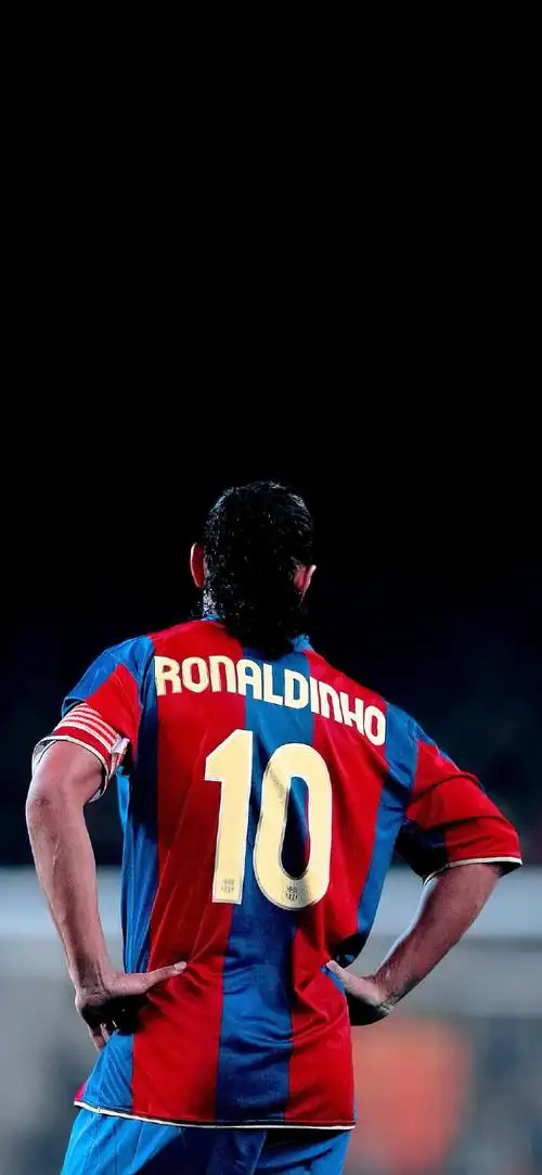 员的引进提 员的引进提