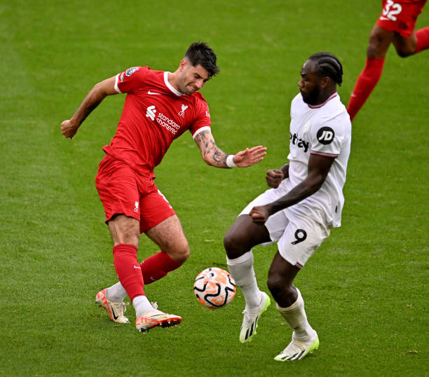 如果你需要 如果你需要