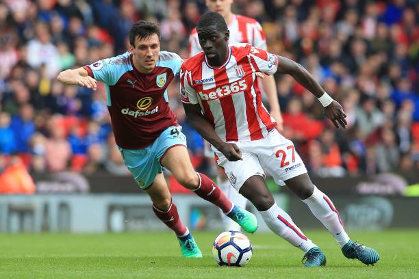 对梅里诺感 对梅里诺感