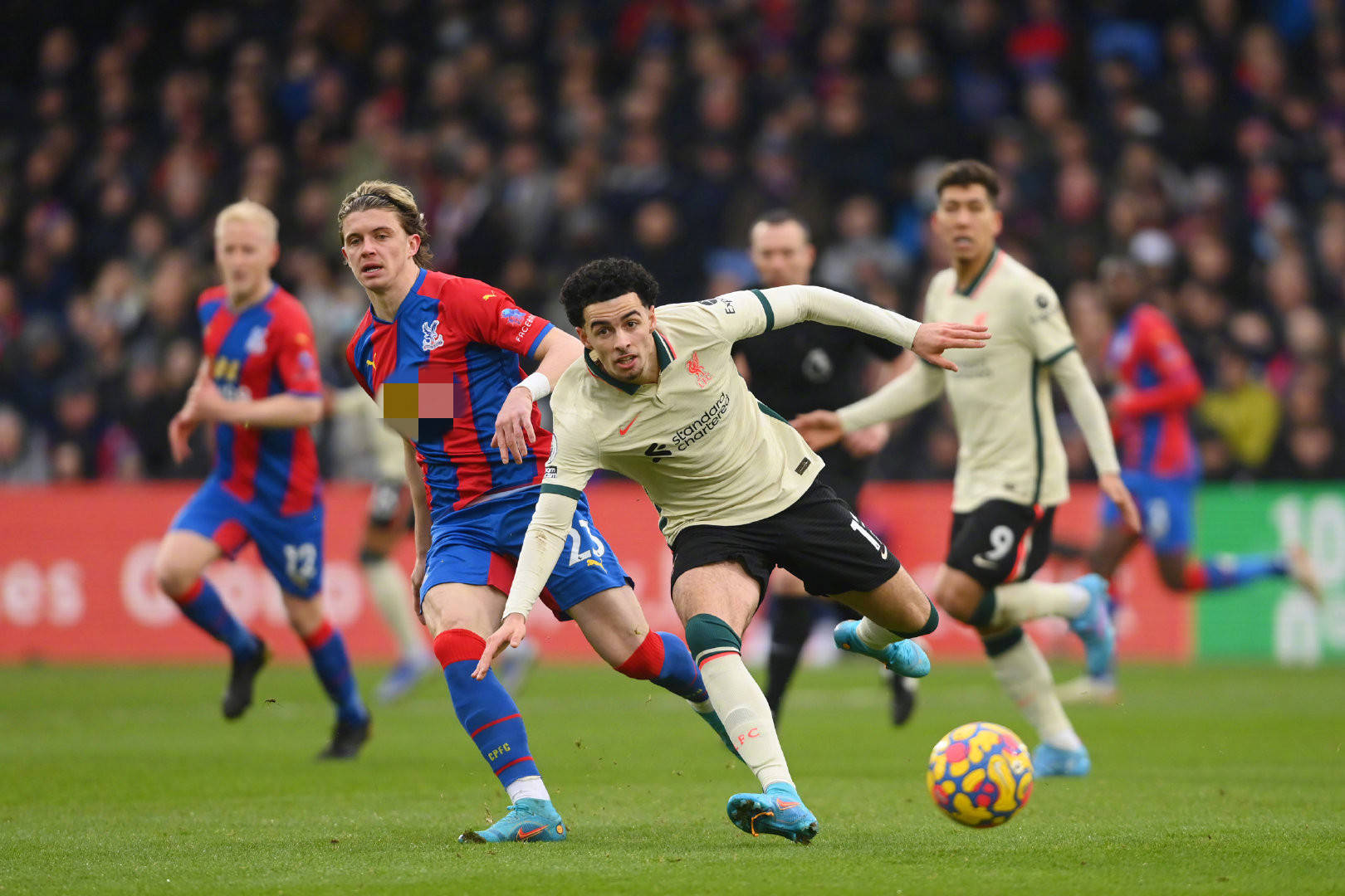 言中提到 言中提到